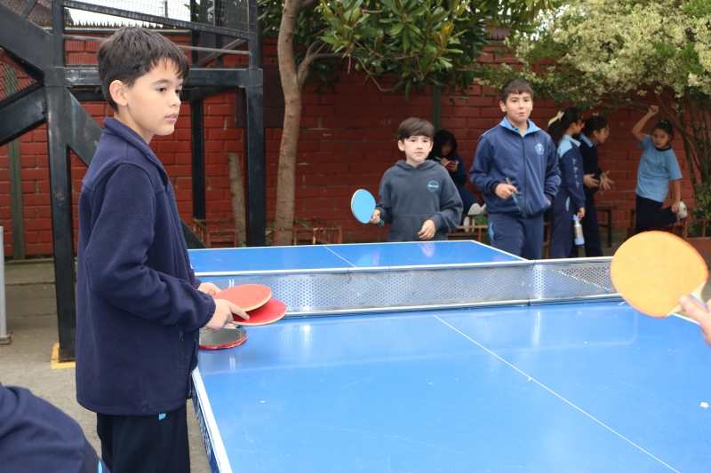 Día de la Actividad Física